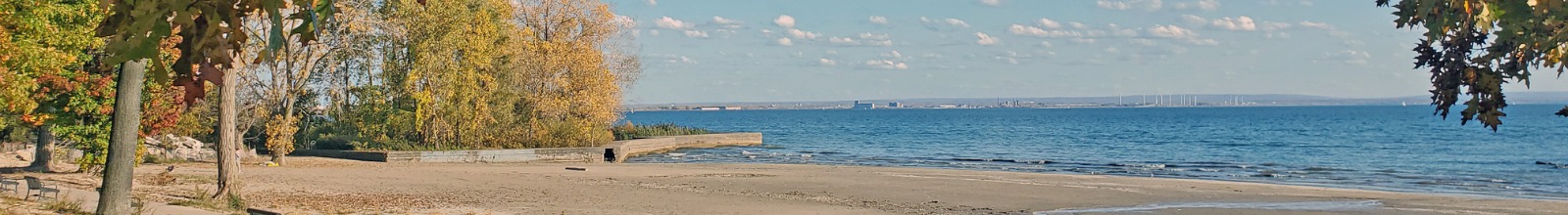 A beach with a large lake in the fall