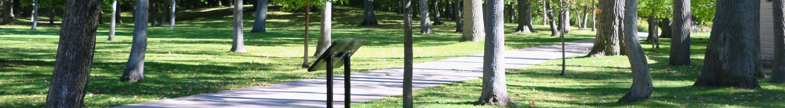 A park trail surrounded by trees in the summer