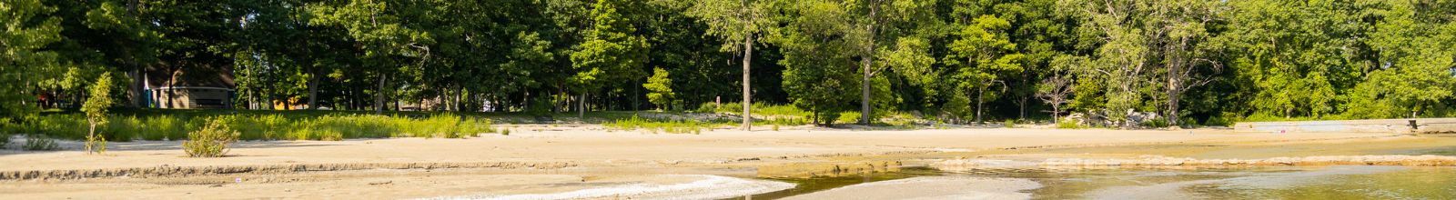 A sandy beach with a tree line running along it.