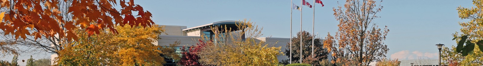 An exterior shot of the Town Hall building in fall 