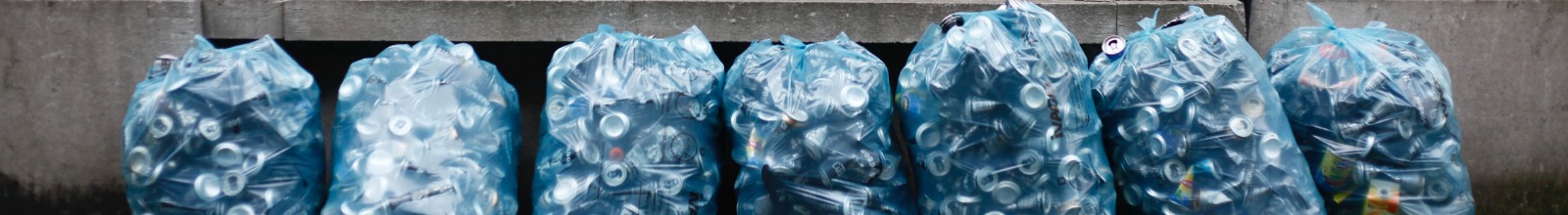 A line of clear trash bags holding recycling 