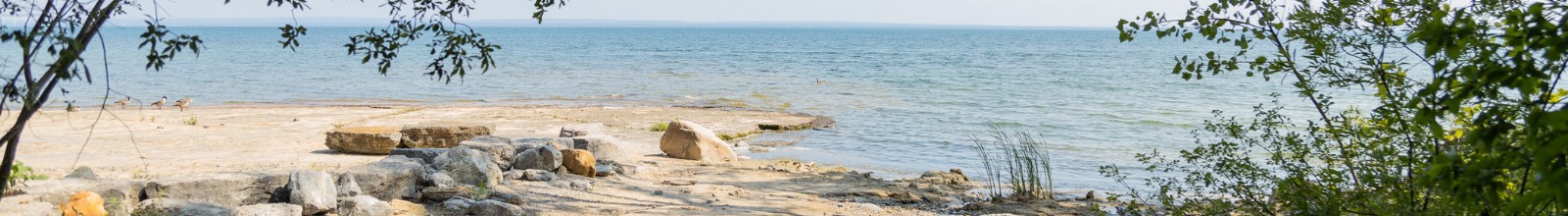 The shore line of Lake Erie on a summer day