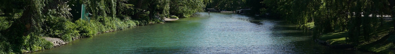 A large creek in the summer