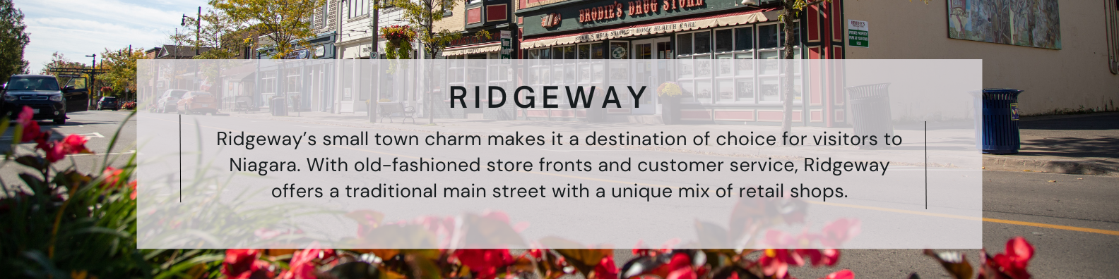 ridgeway district description