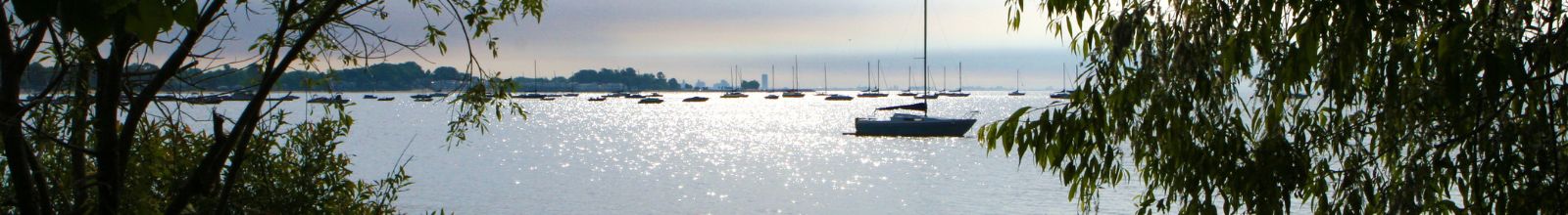 Lake Erie in the summer full of boats