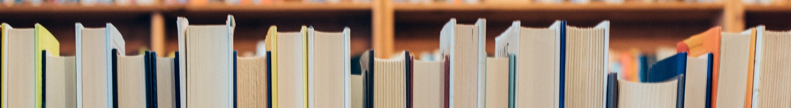 A row of books of all colors. 