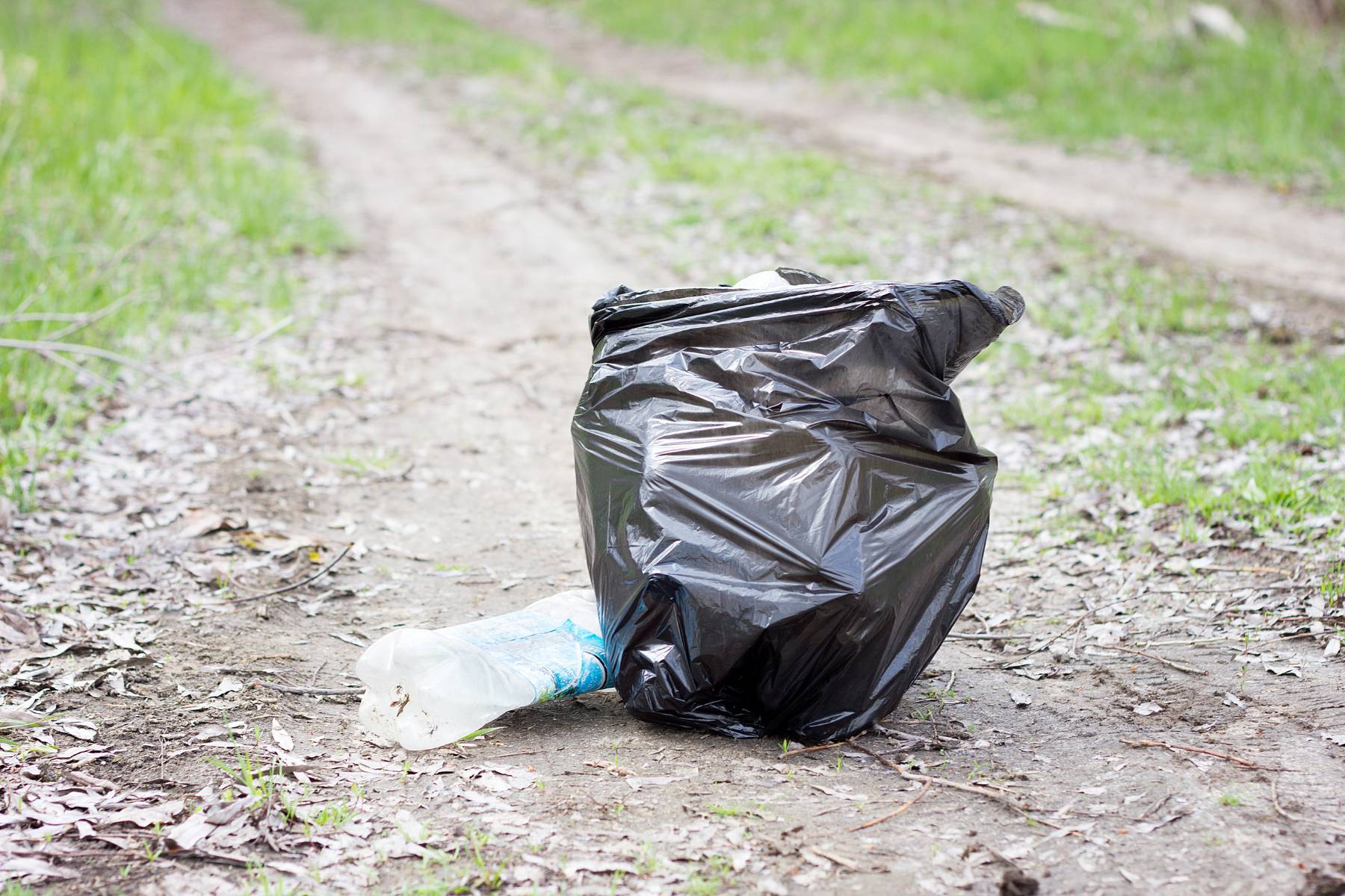 A garbage thrown onto a path