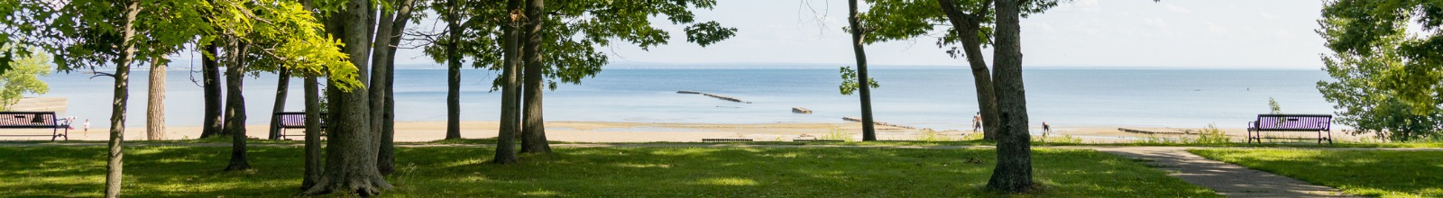 A shoreline along a large lake with a sandy beach and bench