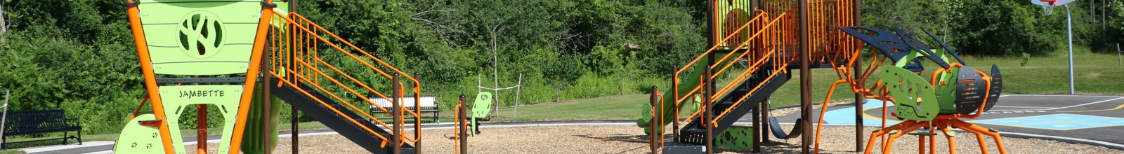 Two playgrounds with bug like features in the sun