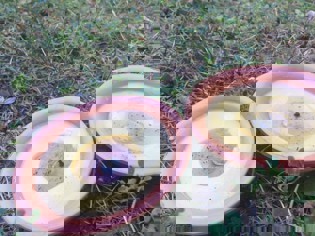 Two open candles lay on grass