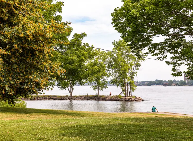 The Niagara River Shoreline